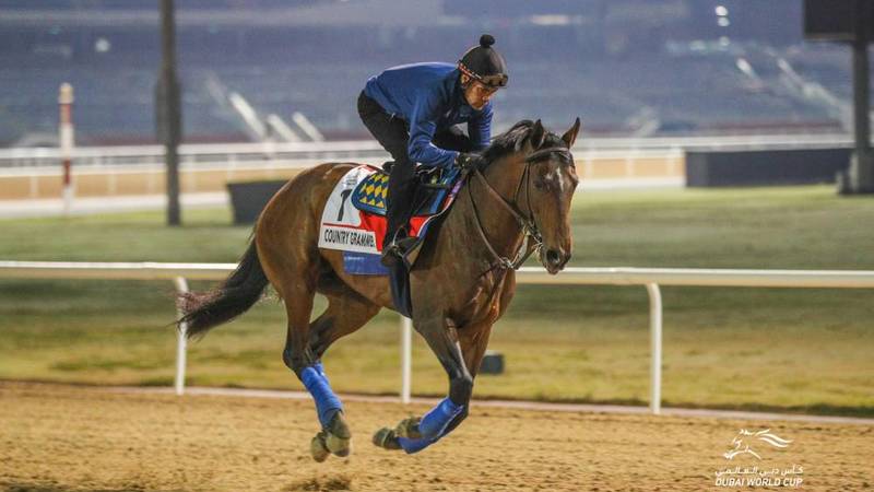 مزاد مربط جدة (تجريبي)